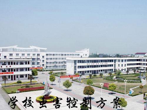 学校