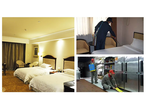 宾馆灭鼠