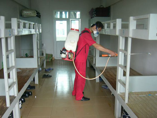 宿舍灭鼠