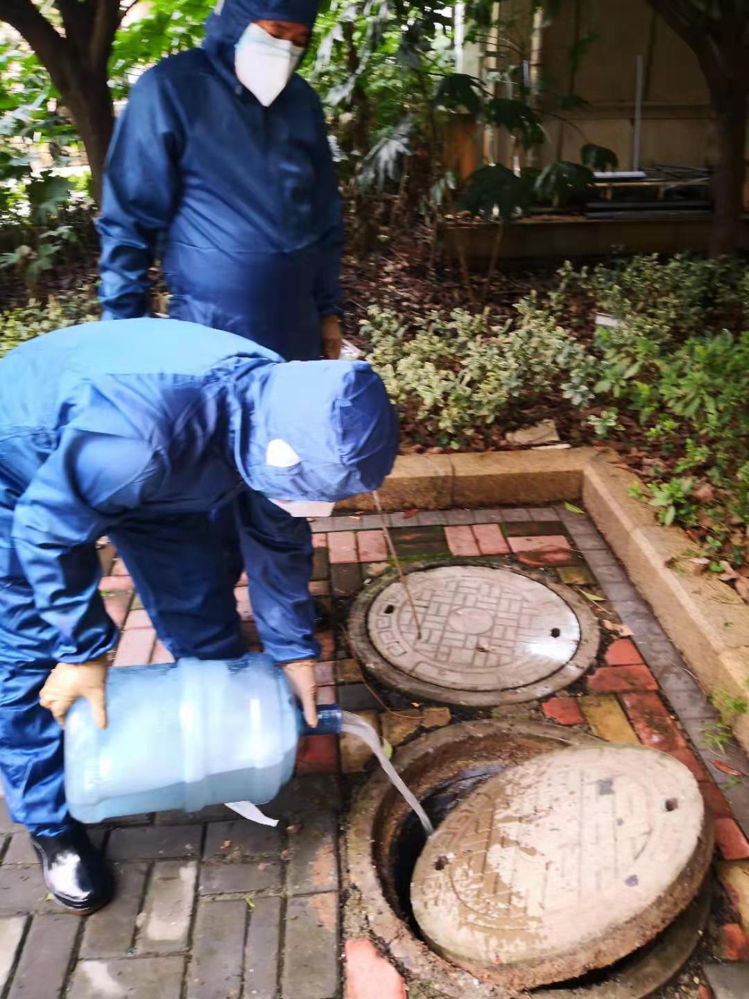 湖南害虫防治,常德害虫防治,常德专业灭鼠,常德专业除虫,常德专业灭蚁