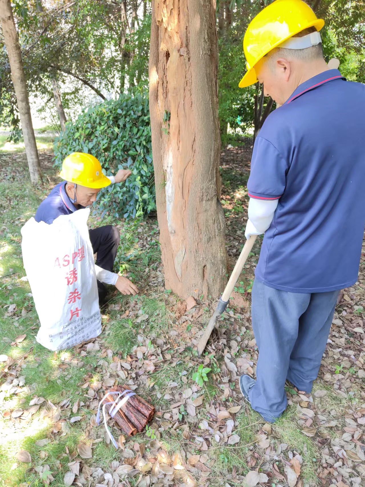 湖南害虫防治,常德害虫防治,常德专业灭鼠,常德专业除虫,常德专业灭蚁