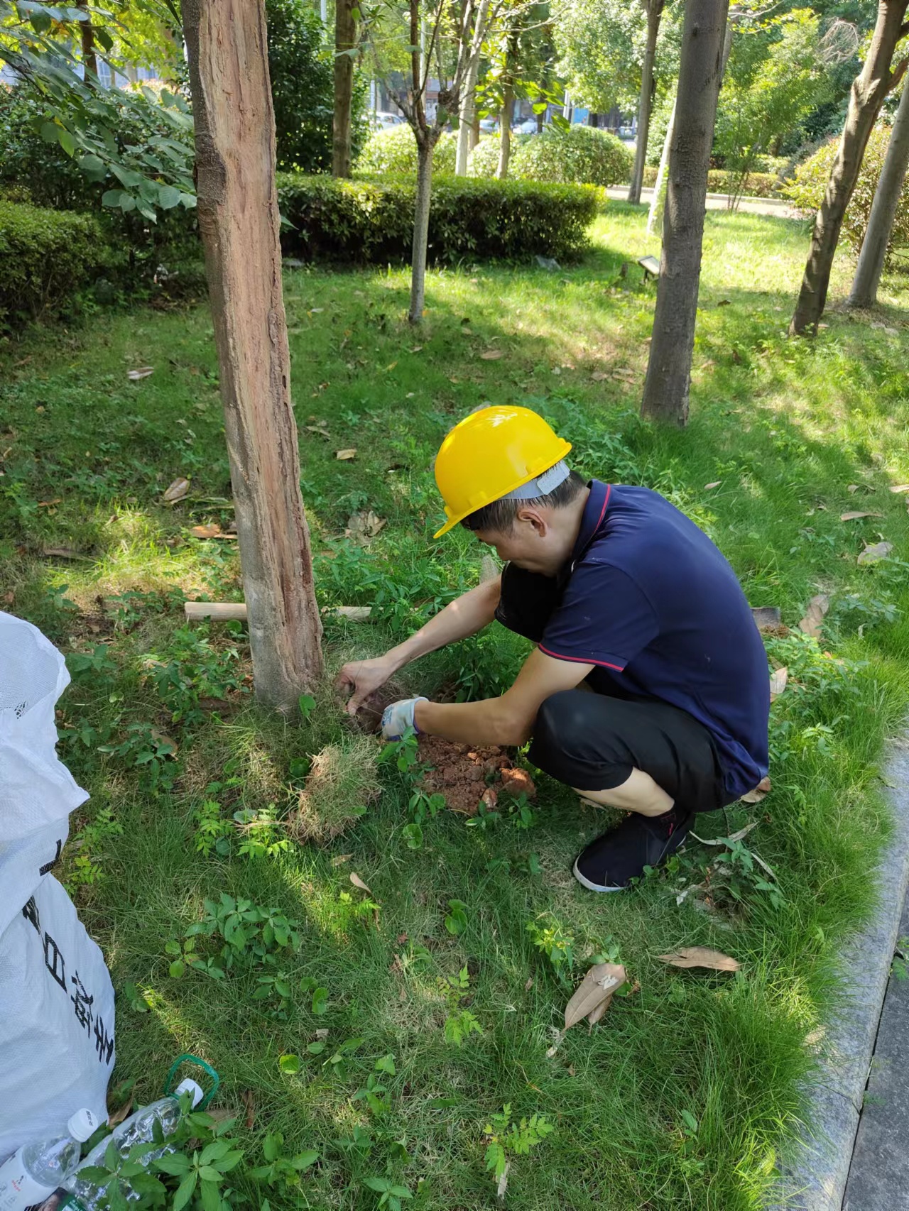 湖南害虫防治,常德害虫防治,常德专业灭鼠,常德专业除虫,常德专业灭蚁