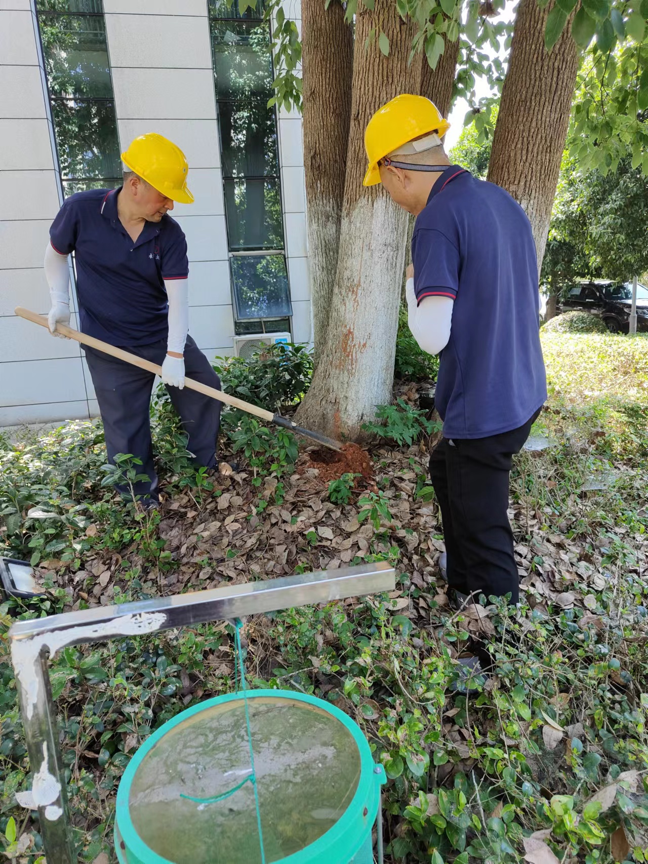 湖南害虫防治,常德害虫防治,常德专业灭鼠,常德专业除虫,常德专业灭蚁